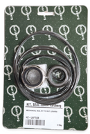 Mechanical Seal kit to suit Lowara NSCS 65-200